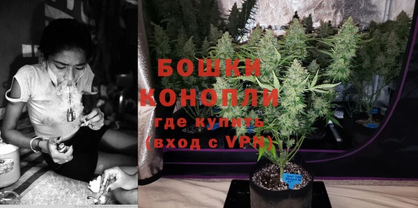 индика Ступино