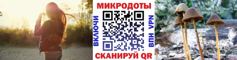 Галлюциногенные грибы мухоморы  дарнет шоп  Тамбов 